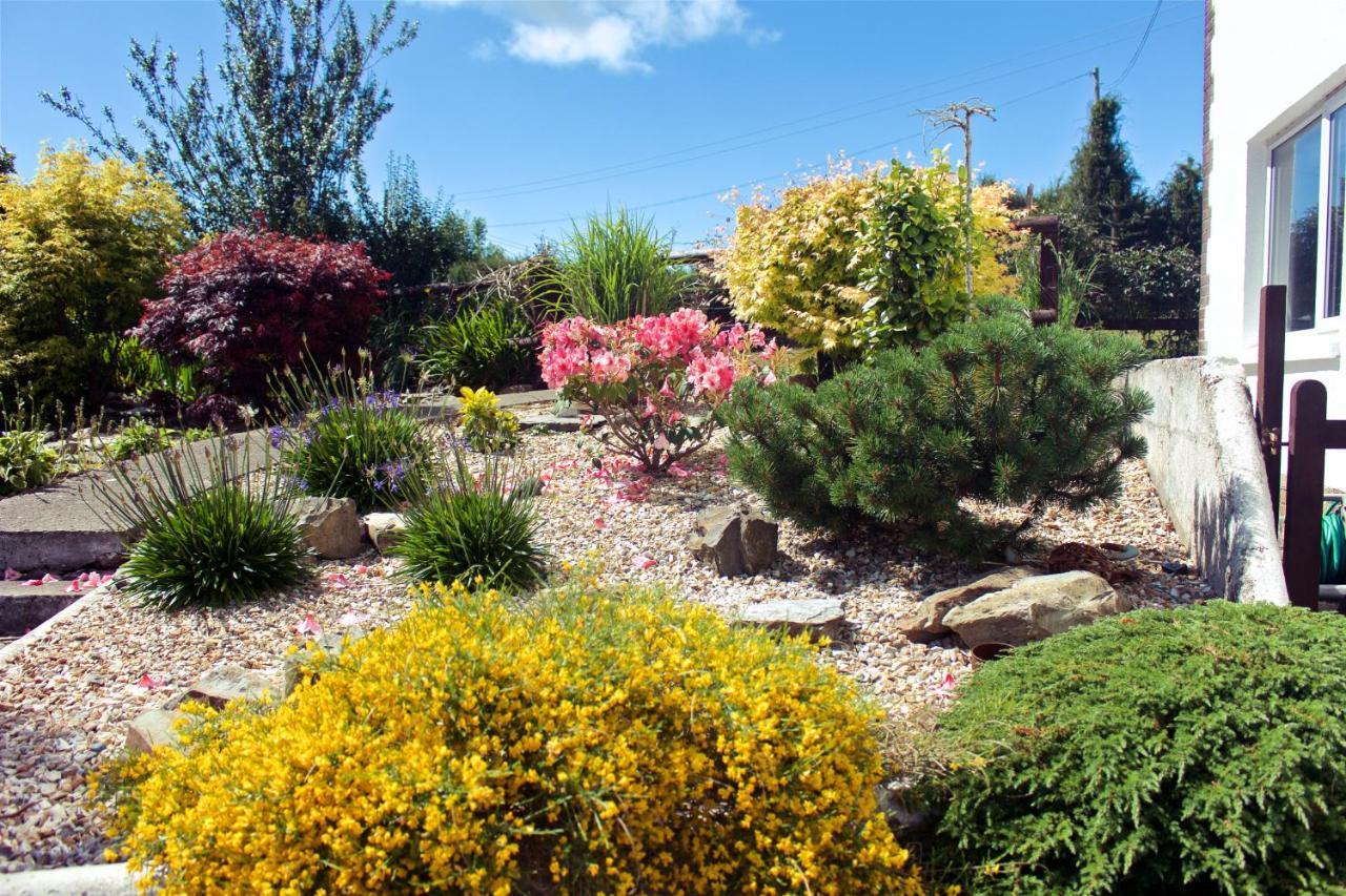 דירות West Down Sunnymeade מראה חיצוני תמונה